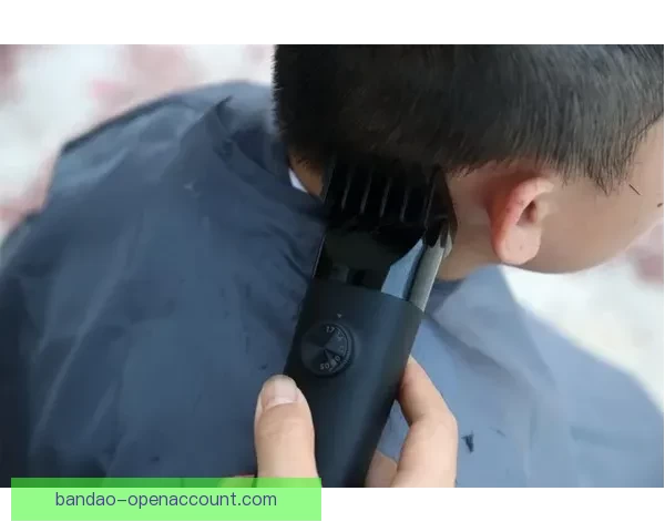 半岛体育注册流程详解与最新优惠活动全攻略 半岛体育注册流程详解与最新优惠活动全攻略