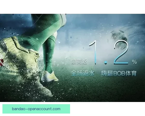 半岛体育下载最新版高速稳定体验全方位赛事资讯平台