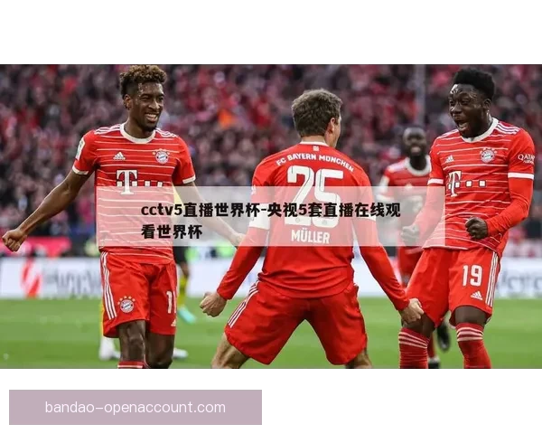 世界杯在线竞猜官网打造全新娱乐平台助力球迷畅享赛事激情